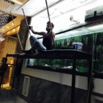 Aquarium Maintenance Services Near Me