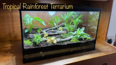 terrarium aquarium,1
